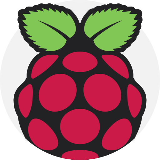 Raspberry Pi Logo